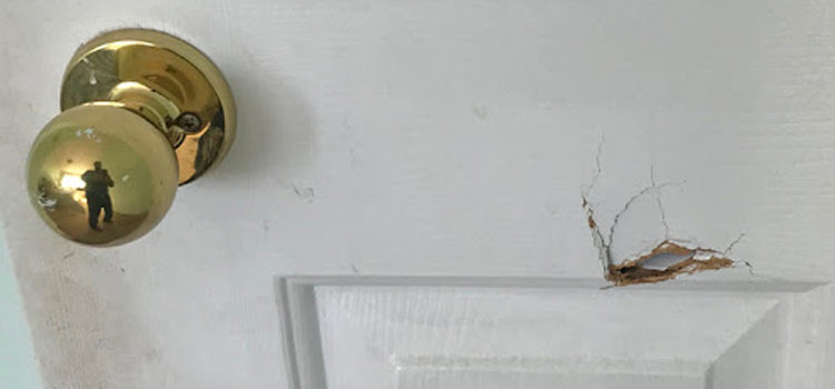 interior door hole repair Gardena