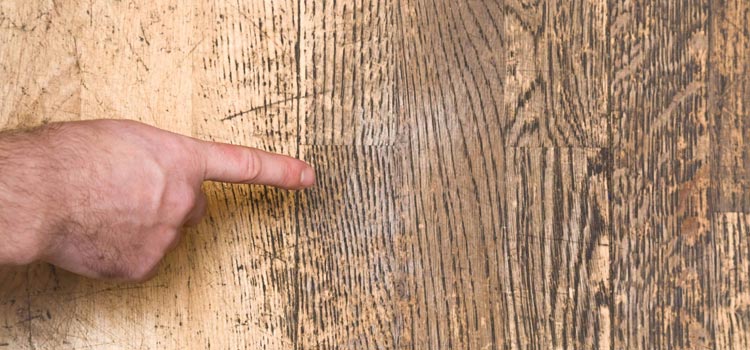 Wood Door Scratch Repair in Gardena